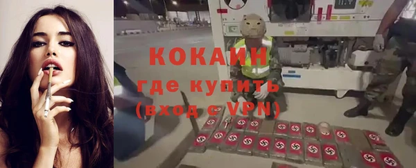 индика Нефтегорск