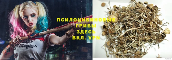 дживик Абинск