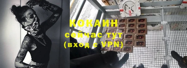 дживик Абинск