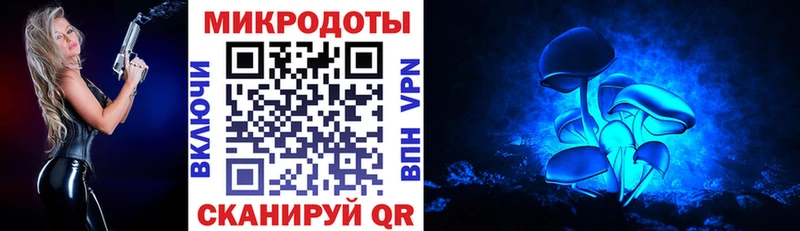 Псилоцибиновые грибы Psilocybe  купить наркотик  Лесозаводск 